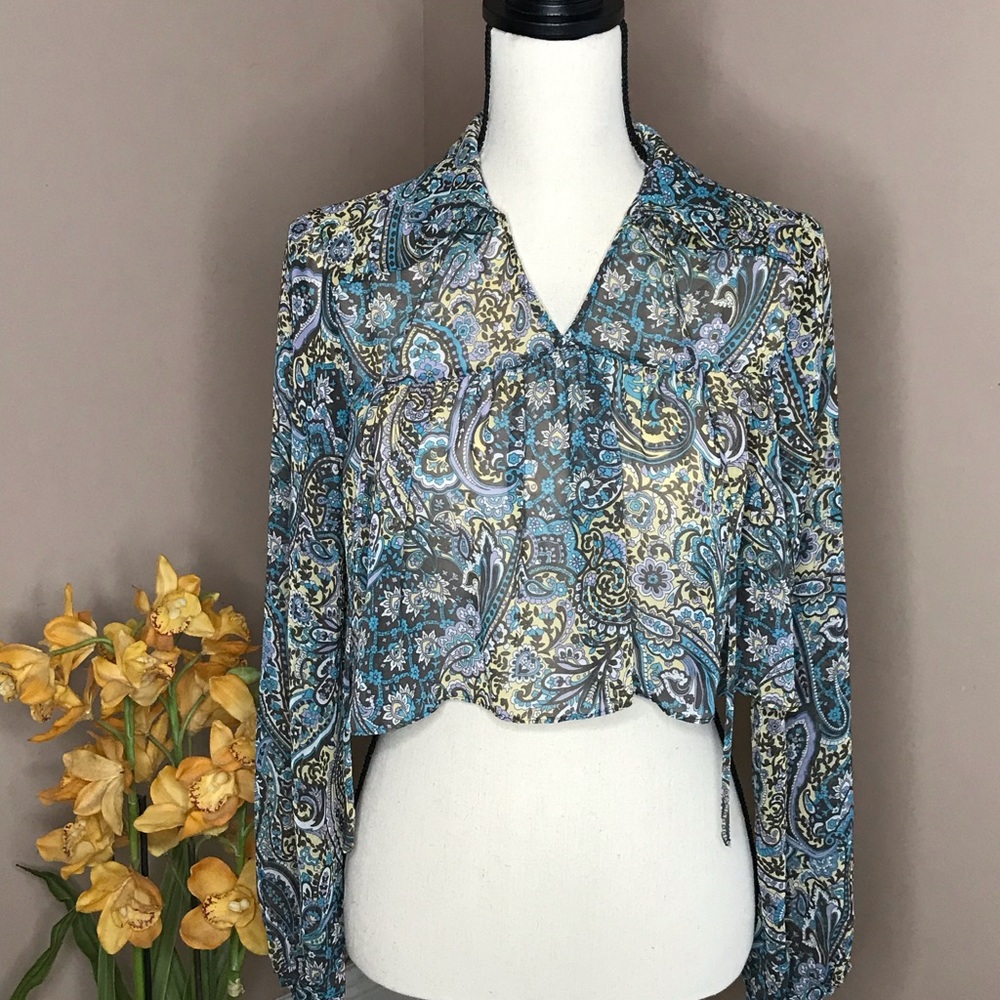 Paisley Sheer Crop Top